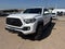 2019 Toyota Tacoma TRD Off-Road V6