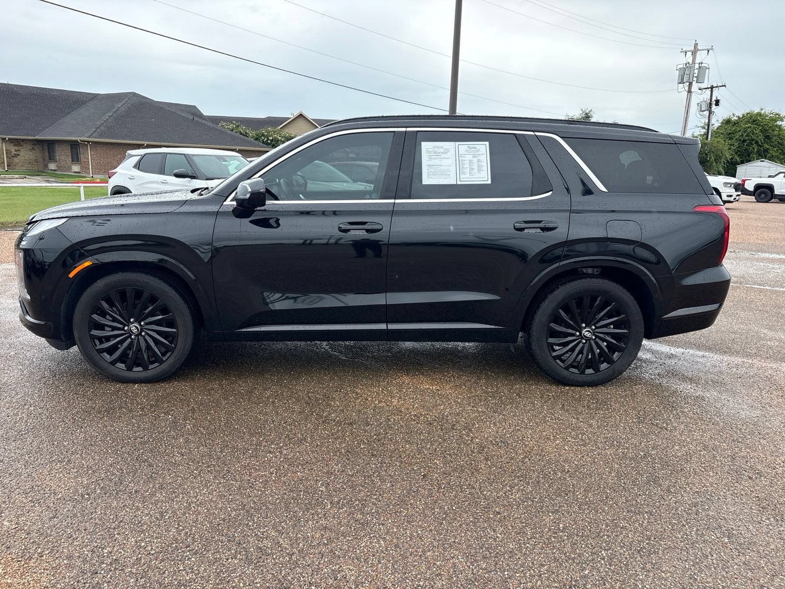 2025 Hyundai Palisade Calligraphy Night Edition