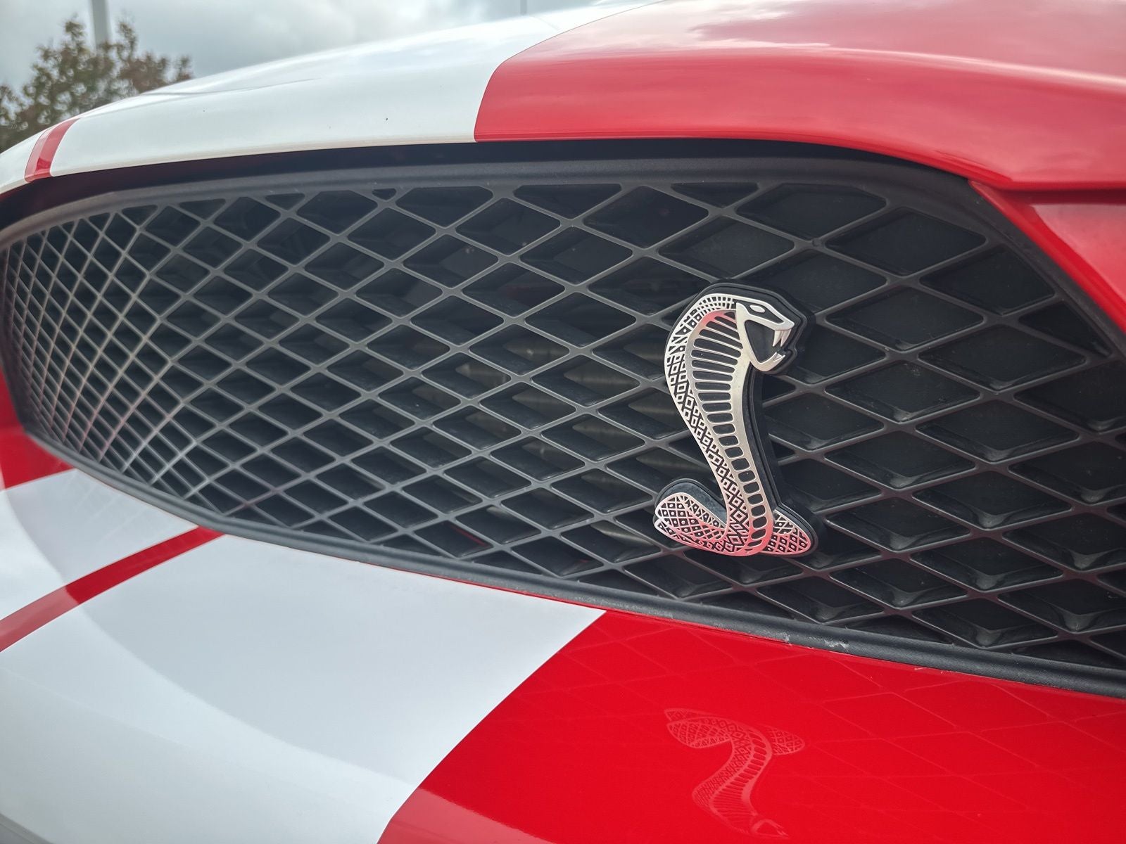 2007 Ford Mustang Shelby GT500